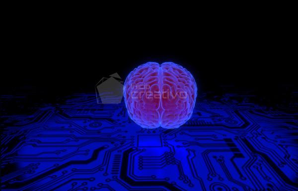 Cerebrow1